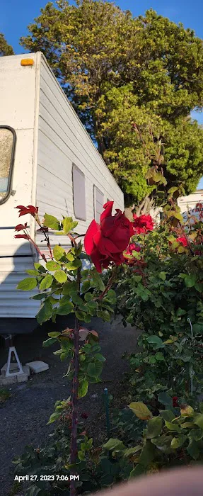 Idle Wheels Picture 8