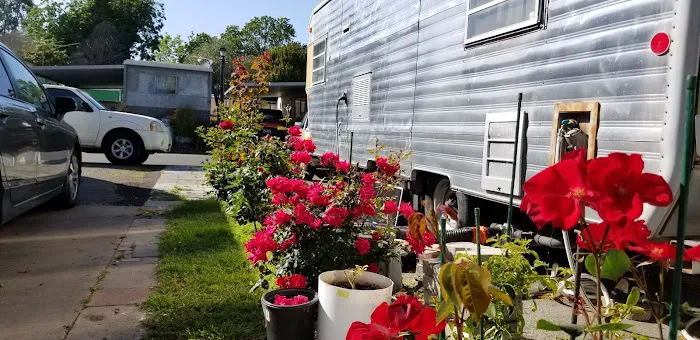 Idle Wheels Picture 5