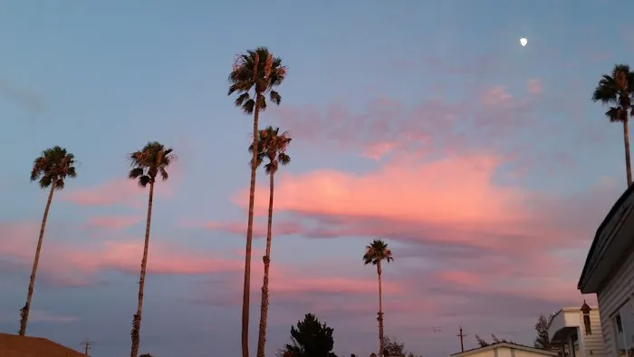 Tara Hills Mobile Manor Picture 1