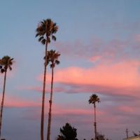 Tara Hills Mobile Manor ico