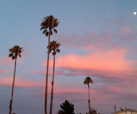 Tara Hills Mobile Manor