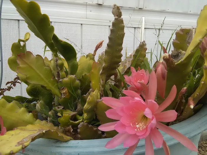 Tara Hills Mobile Manor Picture 5