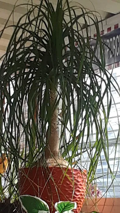 Tara Hills Mobile Manor Picture 9