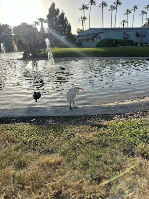 Dalis Gardens Mobilehome Park Picture 1