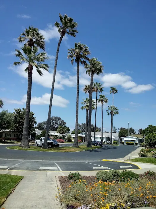 Dalis Gardens Mobilehome Park Picture 7