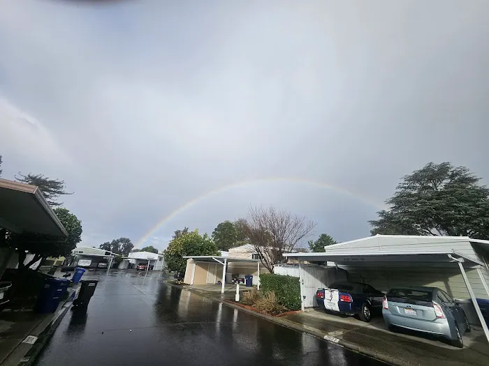 Dalis Gardens Mobilehome Park Picture 4