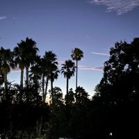 Sunny Acres Mobile Home & RV Park ico