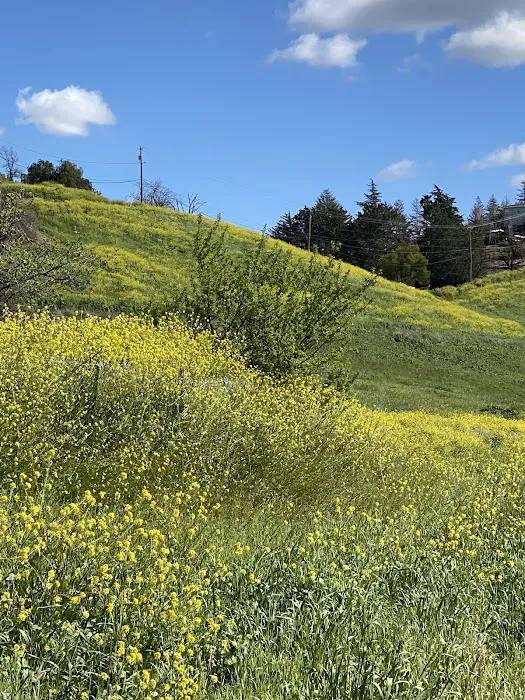 Town & Country Mobile Home Park Picture 4