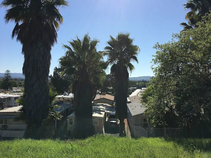 Town & Country Mobile Home Park Picture 5