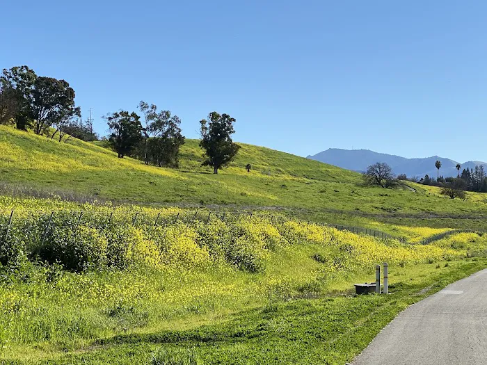 Town & Country Mobile Home Park Picture 3