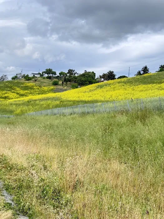 Town & Country Mobile Home Park Picture 9