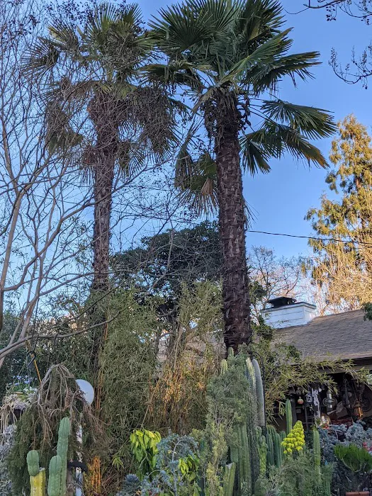 Trees Mobile Home Park Picture 1