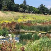 Brookview Park ico