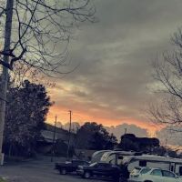 Marlin's RV Park ico