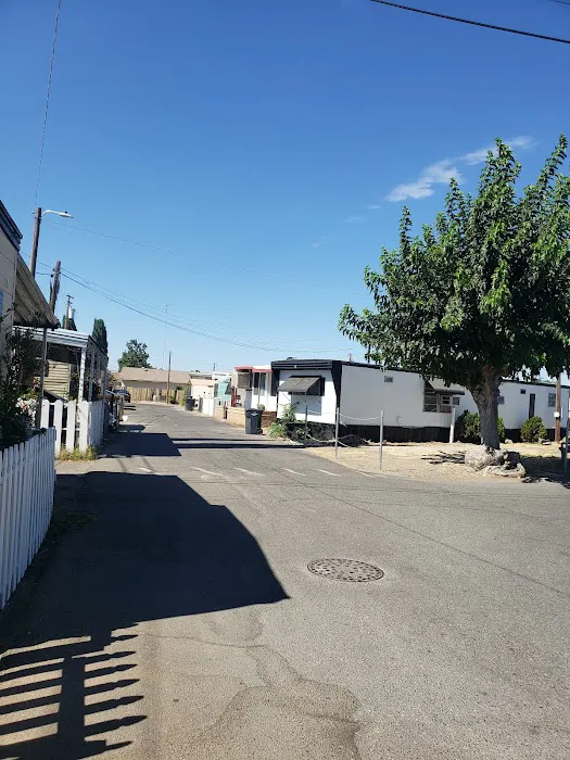 Broad Acres Mobile Home Park Picture 1