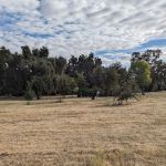 Driftwood Mobile Home Park