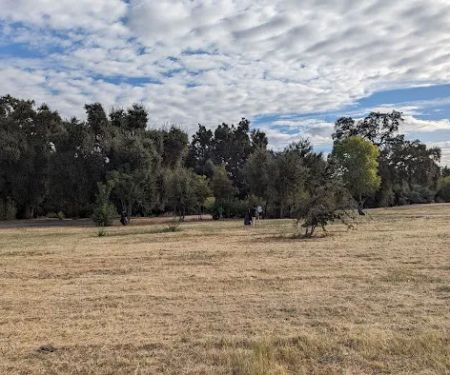 Driftwood Mobile Home Park