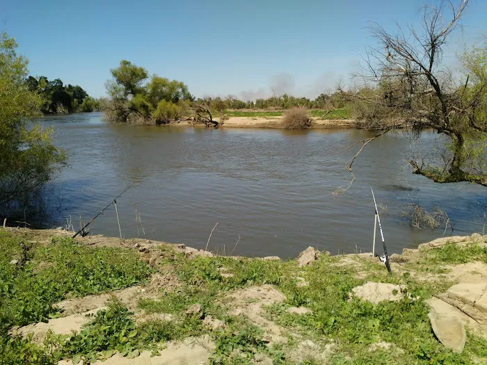Catfish Camp Picture 2