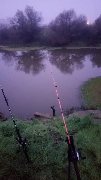 Catfish Camp Picture 3