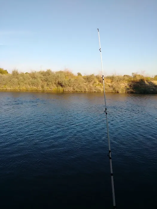 Catfish Camp Picture 7