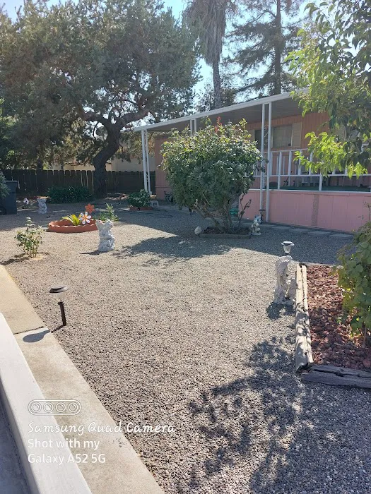 Silverwood Mobile Home Park Picture 3