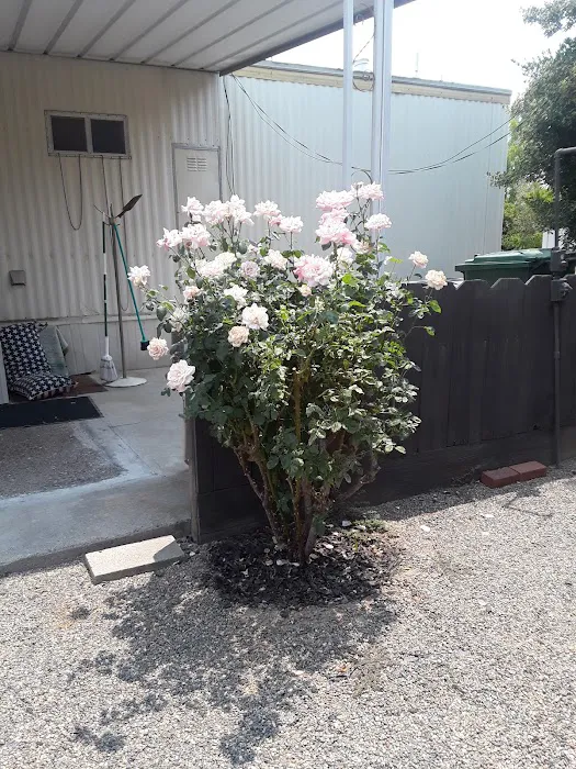 Silverwood Mobile Home Park Picture 6