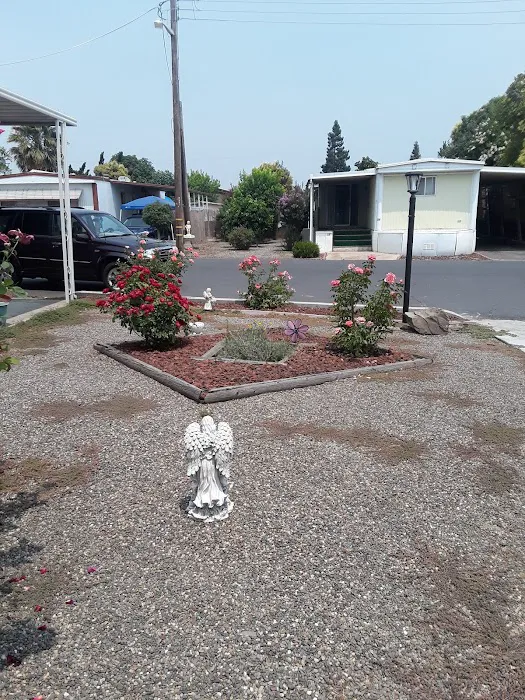 Silverwood Mobile Home Park Picture 7