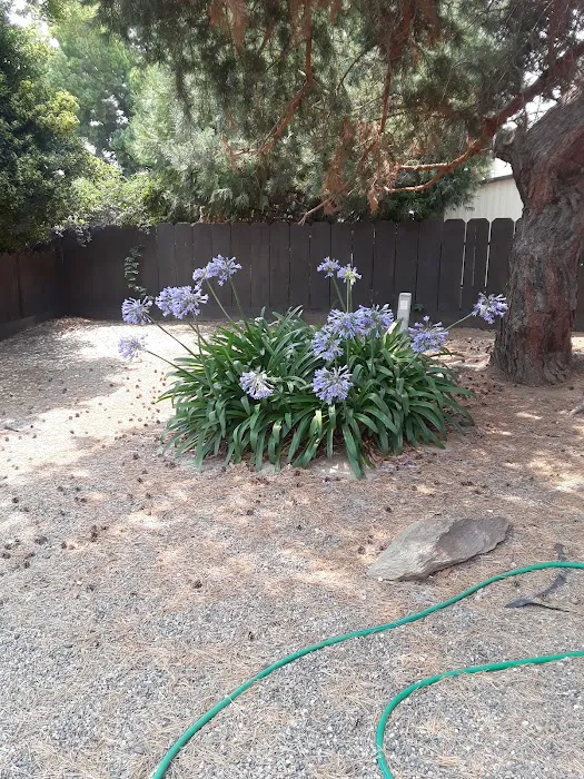 Silverwood Mobile Home Park Picture 9