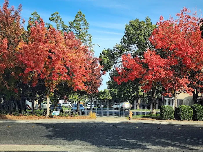 Homewood Village Mobile Home Park Picture 4