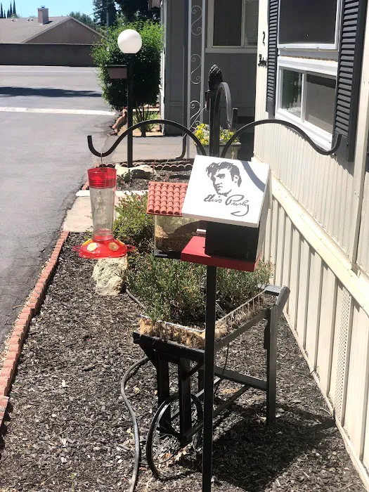 Park Sierra Mobile Home Park Picture 2
