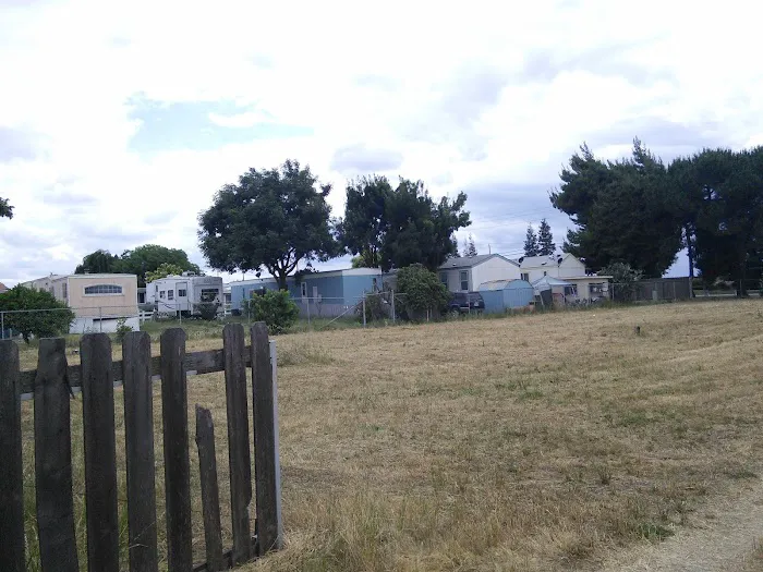 Olive Lane Trailer Park Picture 1