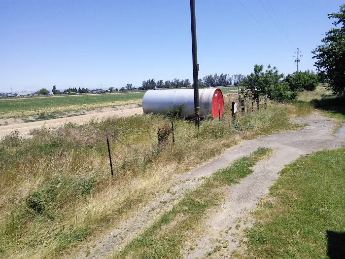 Olive Lane Trailer Park Picture 3