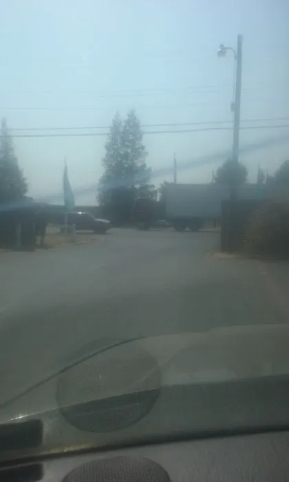 Olive Lane Trailer Park Picture 4