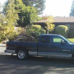 Morada Mobile Home Park