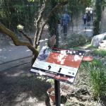 Il Vineto Mobile Home Park