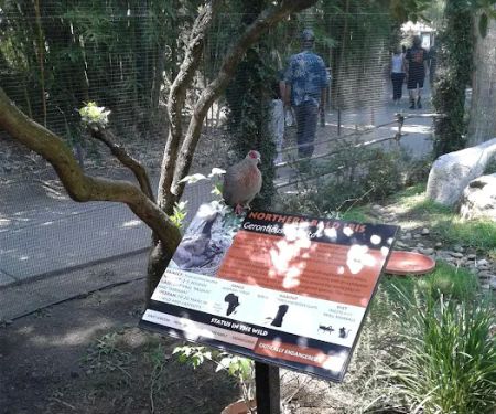 Il Vineto Mobile Home Park