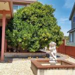 Carquinez Highlands Mobile Home Park