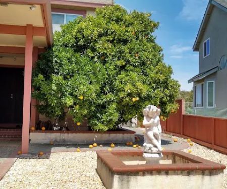 Carquinez Highlands Mobile Home Park