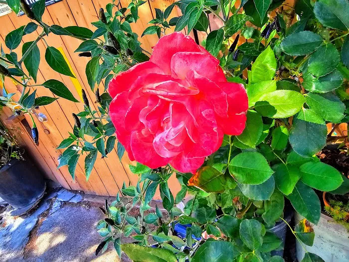 RV Park of San Rafael lo un k Picture 3