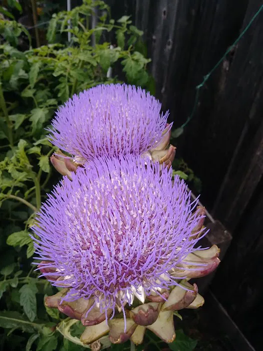 RV Park of San Rafael lo un k Picture 1