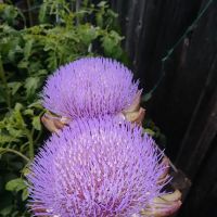 RV Park of San Rafael lo un k ico