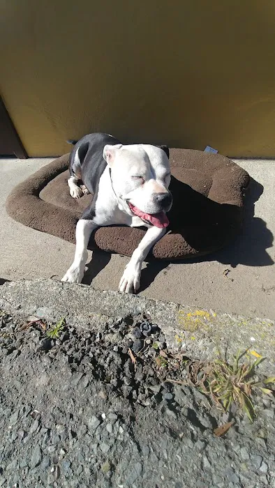 RV Park of San Rafael lo un k Picture 5