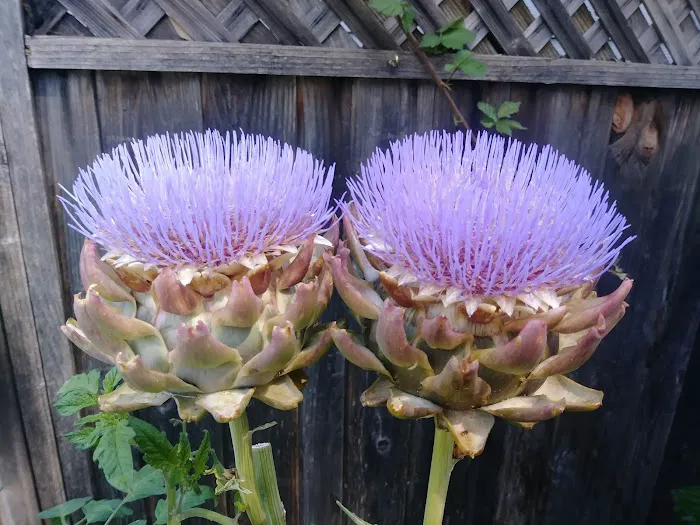 RV Park of San Rafael lo un k Picture 7