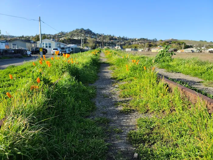 Marin RV Park Picture 6