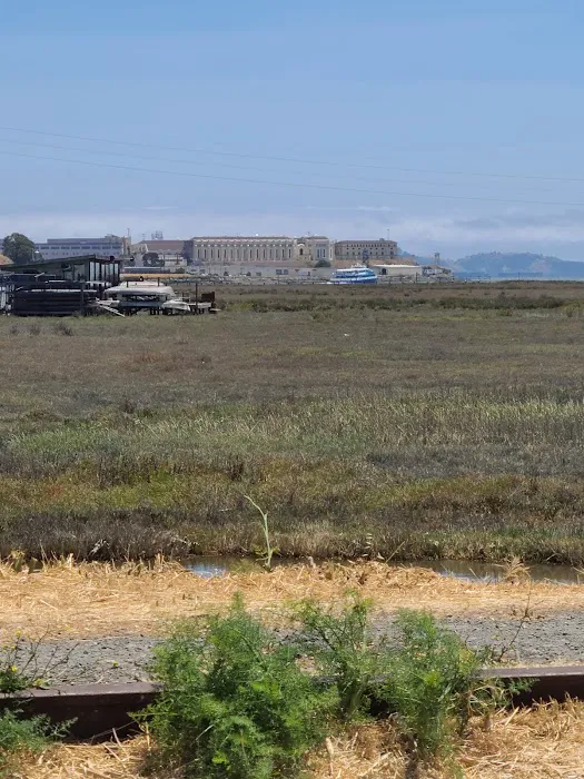 Marin RV Park Picture 10