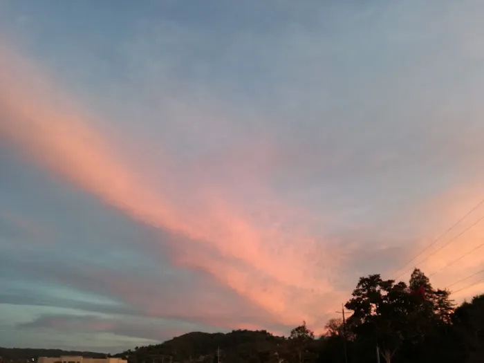 Golden Gate Trailer Park Picture 5