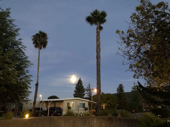 Contempo Marin Picture 3