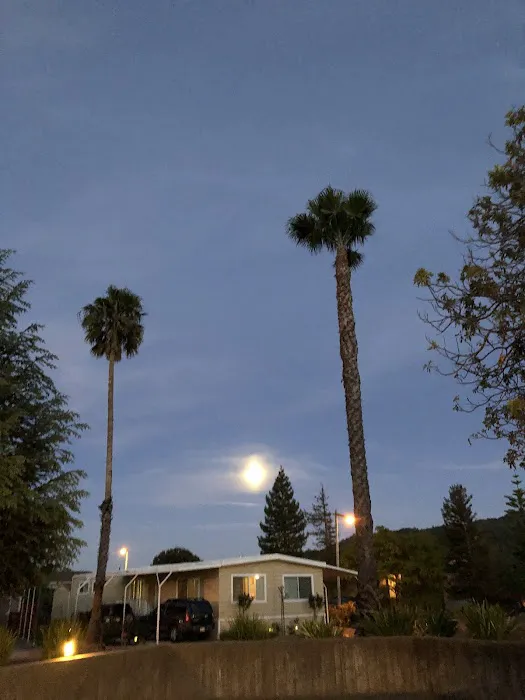 Contempo Marin Picture 8