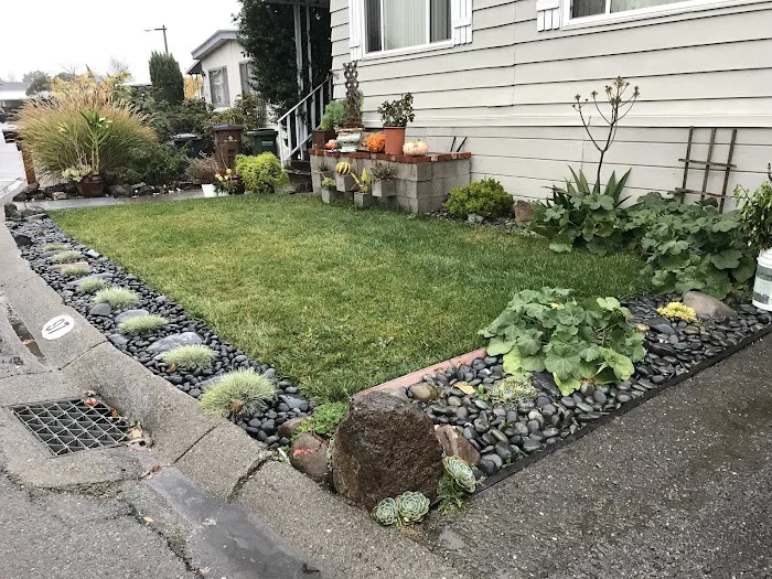 Contempo Marin Picture 6