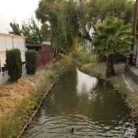 Newell Mobile City ico